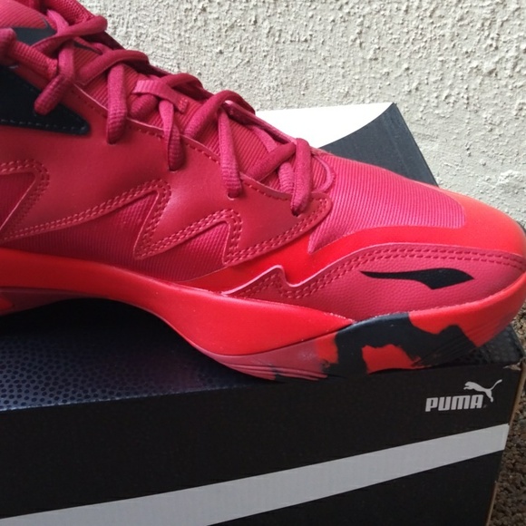 PUMA Genetics - Picture 7 of 13